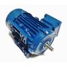 MOTOR HORNO REVENT GIRO CARRO 0,33CV 900rpm EJE 14 B34 REVENT RR-2x1-G