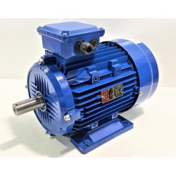 MOTOR PARA PESADORA DIVISORA SUBAL MINOR CSM MINOR MOTOR TRIFÁSICO 1,5KW 2CV 750 RPM 230VAC / 380VAC