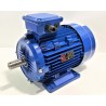 MOTOR PARA PESADORA DIVISORA SUBAL MINOR CSM MINOR MOTOR TRIFÁSICO 1,5KW 2CV 750 RPM 230VAC / 380VAC