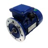 MOTOR PARA TREN DE ELABOREO SUBAL CSM PANADERIA Y PASTELERIA MOTOR 0,25Kw 1500RPM EJE Ø11mm Brida 140mm PARA CÁMARA REPOSO SUBAL