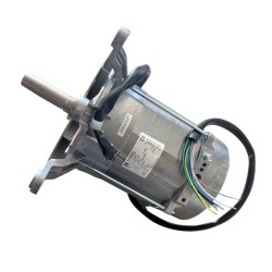 MOTOR HANNING L9FG4D-180 PARA HORNO SALVA SIROCCO MAGMA 230/380VAC