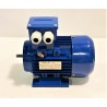 MOTOR FORMADORA SUBAL TS700 0,17CV 1500 RPM 230V TRIFÁSICO CENTRADOR BANDAS FORMADORA